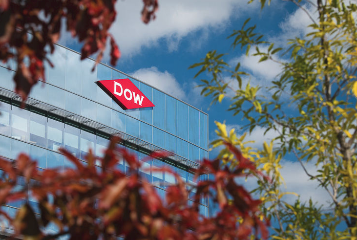 Dow screenshot2 DOW brand2