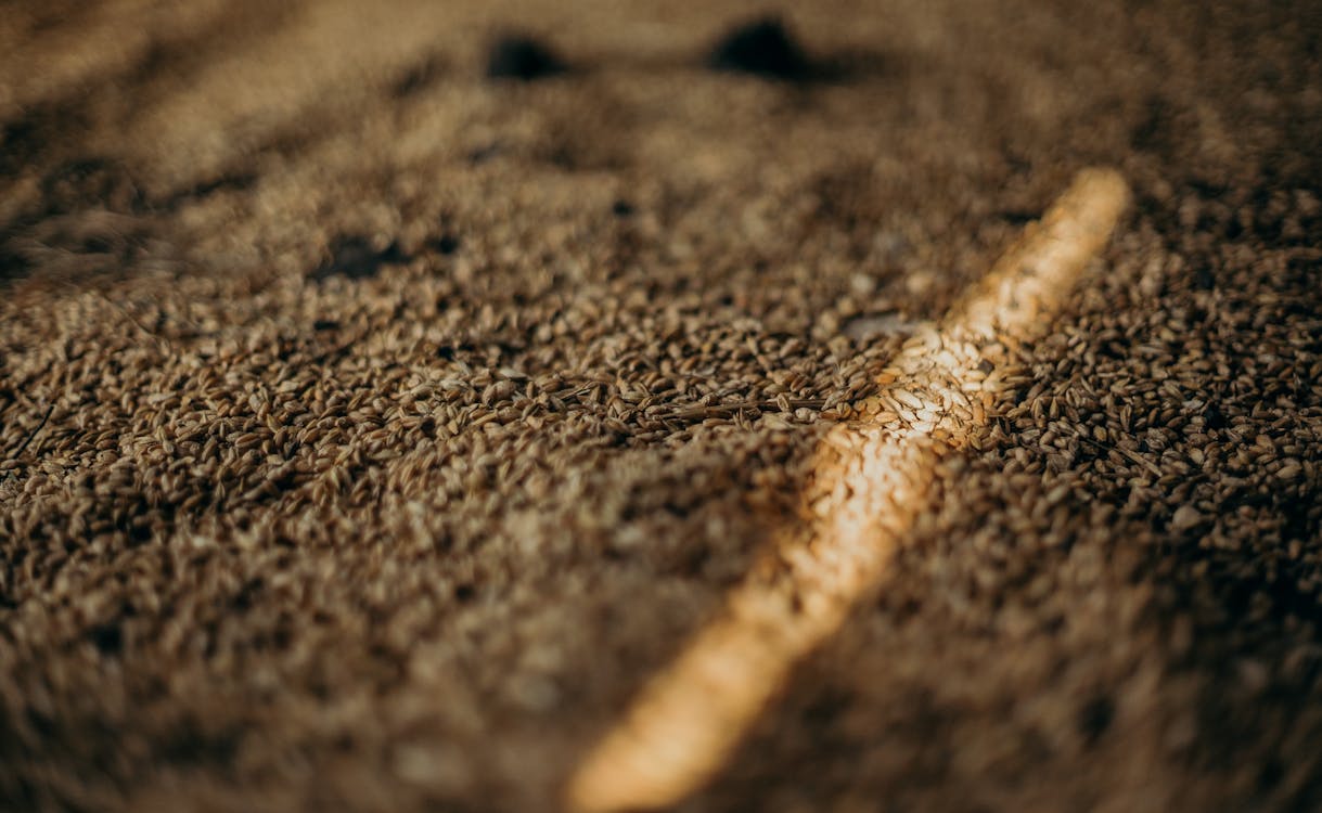 pexels-photo-3066790 grain