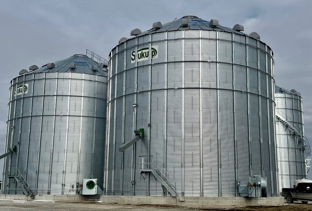 Why PH3 Fumigation is Essential for Protecting Crop Harvests and Stored Grain