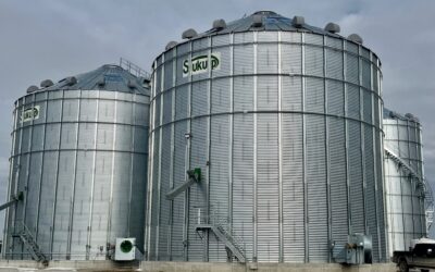 Why PH3 Fumigation is Essential for Protecting Crop Harvests and Stored Grain