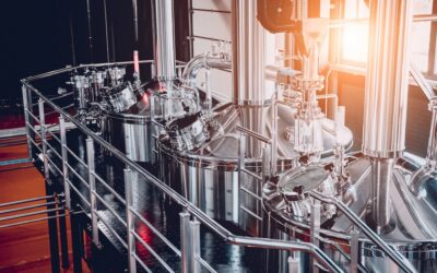 Thermal Fluids in Brewery Pasteurization: Elevating Beer Quality and Consistency with Precision Temperature Control
